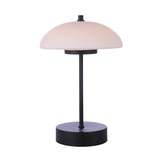 Indoor/Outdoor Rechargeable Dimmable LED Portable Lamp in Flat Black