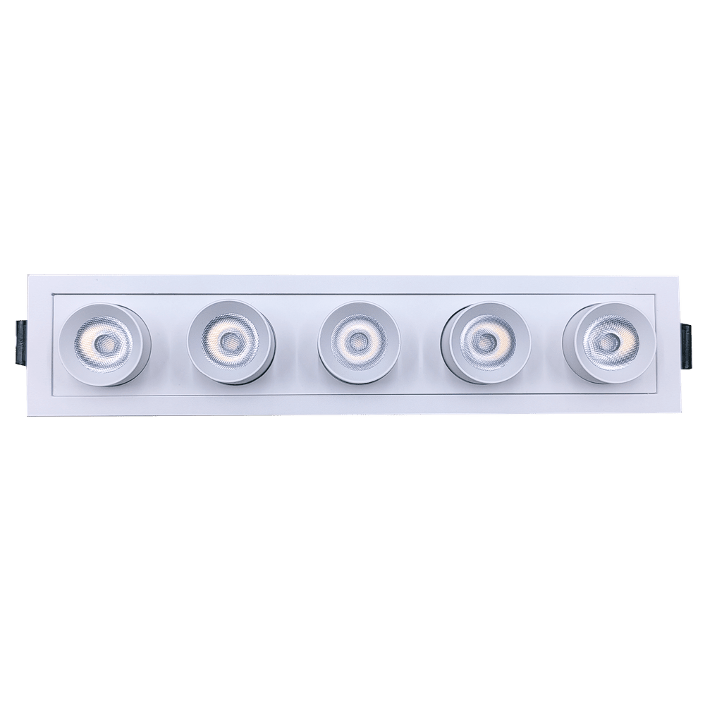 DIPPER – 2” FIVE HEAD RETRACTABLE DOWNLIGHT