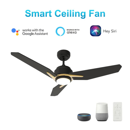 Carro - TRACER 48 inch 3-Blade Smart Ceiling Fan with LED Light Kit & Remote Control- Black/Black (Gold Detail)