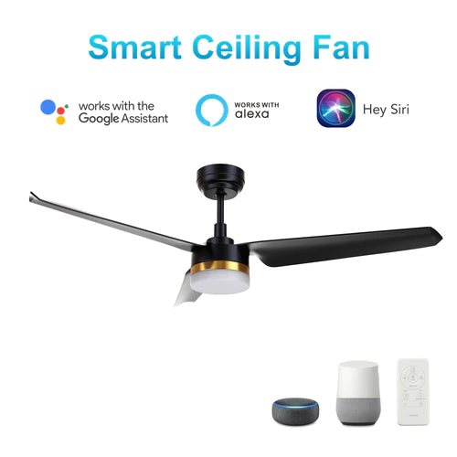 Carro - ATTICUS 52 inch 3-Blade Smart Ceiling Fan with LED Light Kit & Remote Control- Black/Black (Gold Detail)