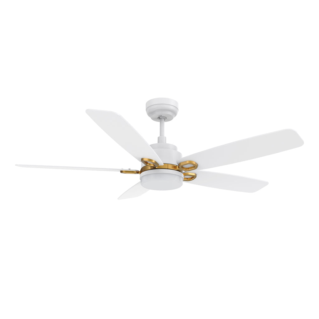 CARRO  - PEYTON 52 inch 5-Blade Smart Ceiling Fan with LED Light Kit & Remote Control- White/White (Gold Details)