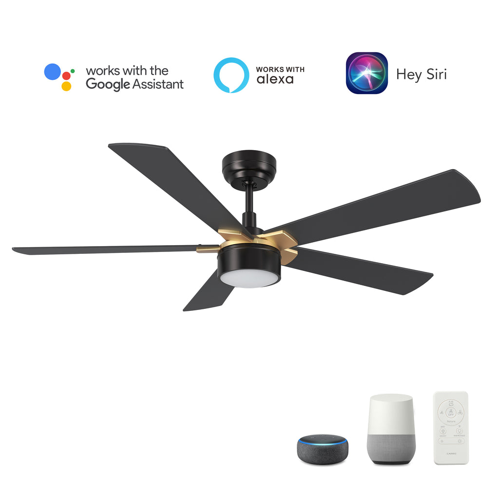 CARRO  -  STOCKTON 52 inch 5-Blade Smart Ceiling Fan with LED Light Kit & Remote Control- Black/Black (Gold Details)