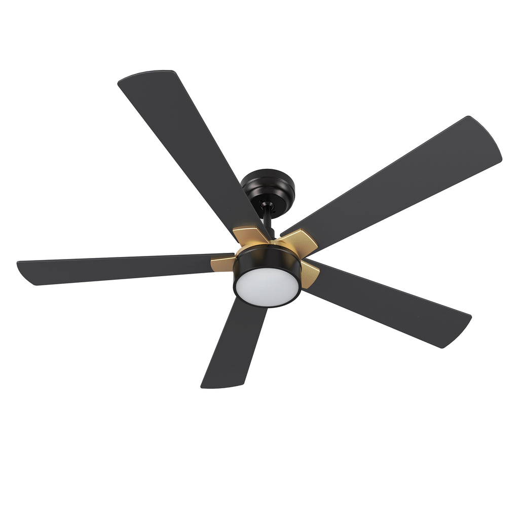 CARRO  -  STOCKTON 52 inch 5-Blade Smart Ceiling Fan with LED Light Kit & Remote Control- Black/Black (Gold Details)