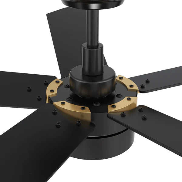 CARRO - TARRASA 52 inch 5-Blade Smart Ceiling Fan with LED Light Kit & Remote Control- Black/Black (Gold Details)