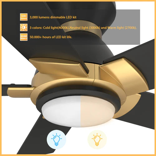 Carro - ASCENDER 52 inch 5-Blade Flush Mount Smart Ceiling Fan with LED Light & Remote Control - Black/Black (Gold Detail)