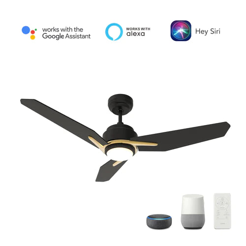 Carro - TRACER 56 inch 3-Blade Smart Ceiling Fan with LED Light Kit & Remote Control- Black/Black (Gold Detail)