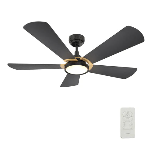 Carro - WINSTON 56 inch 5-Blade Smart Ceiling Fan with LED Light Kit & Remote Control- Black/Black (Gold Detail)